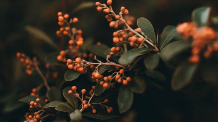 Τι προβλέπουν τα ζώδια για την Τρίτη 14 Ιανουαρίου;