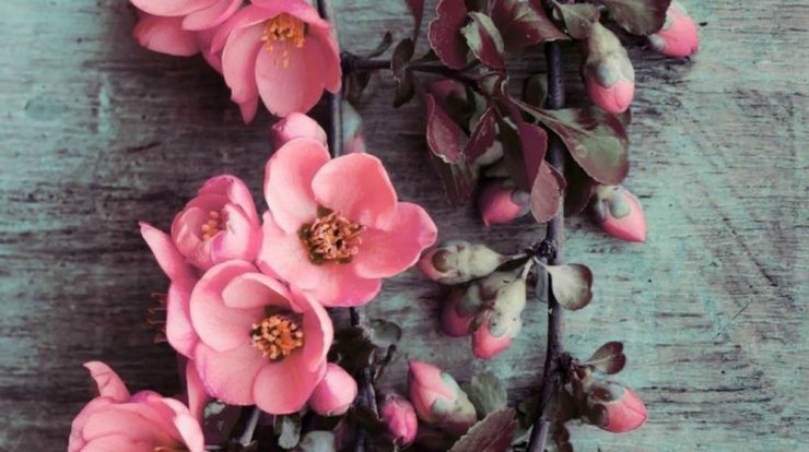 Τι προβλέπουν τα ζώδια για την Τρίτη 26 Φεβρουαρίου 2019;