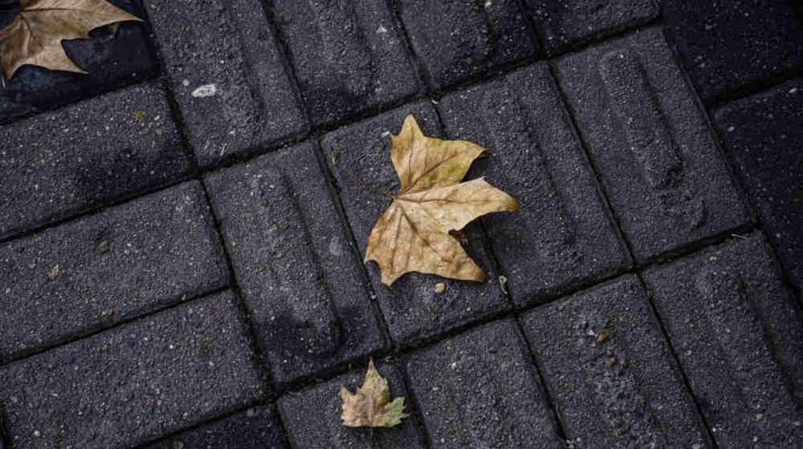 Τι προβλέπουν τα ζώδια για την Τρίτη 8 Οκτωβρίου 2019;