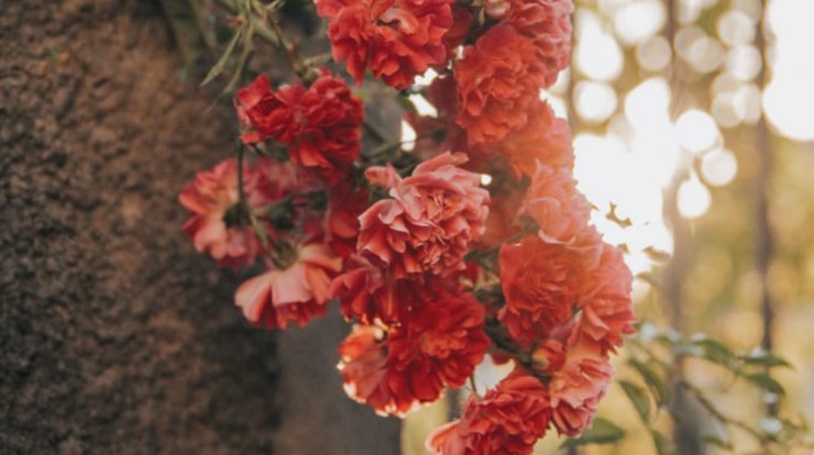 Τι προβλέπουν τα ζώδια για τη Δευτέρα 12 Αυγούστου 2019;