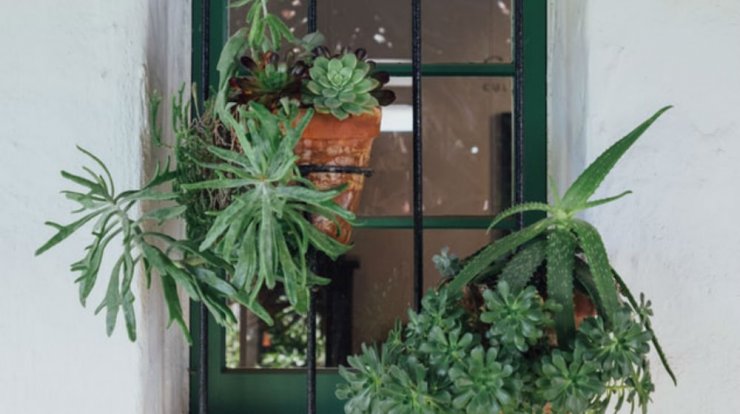 Τι προβλέπουν τα ζώδια για την Τρίτη 2 Ιουλίου 2019;