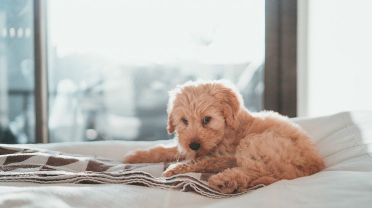 Τι προβλέπουν τα ζώδια για την Τετάρτη 25 Σεπτεμβρίου 2019;