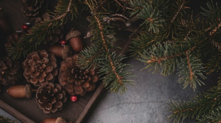 Τι προβλέπουν τα ζώδια για τη Δευτέρα 23 Δεκεμβρίου 2019; 