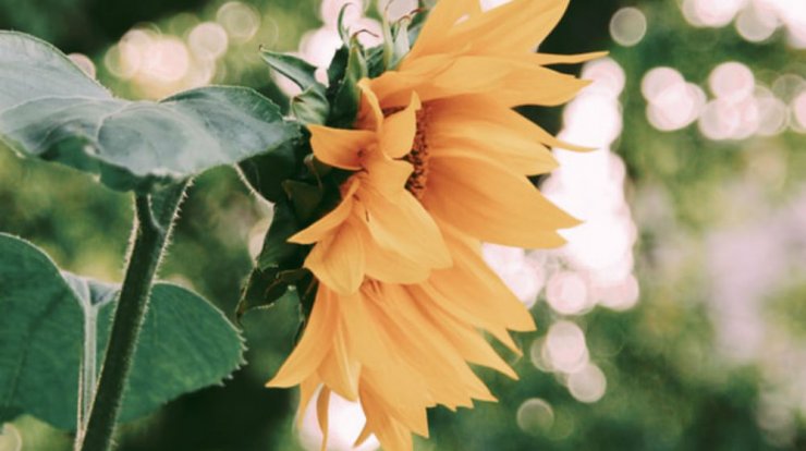 Τι προβλέπουν τα ζώδια για τη Δευτέρα 30 Σεπτεμβρίου 2019; 